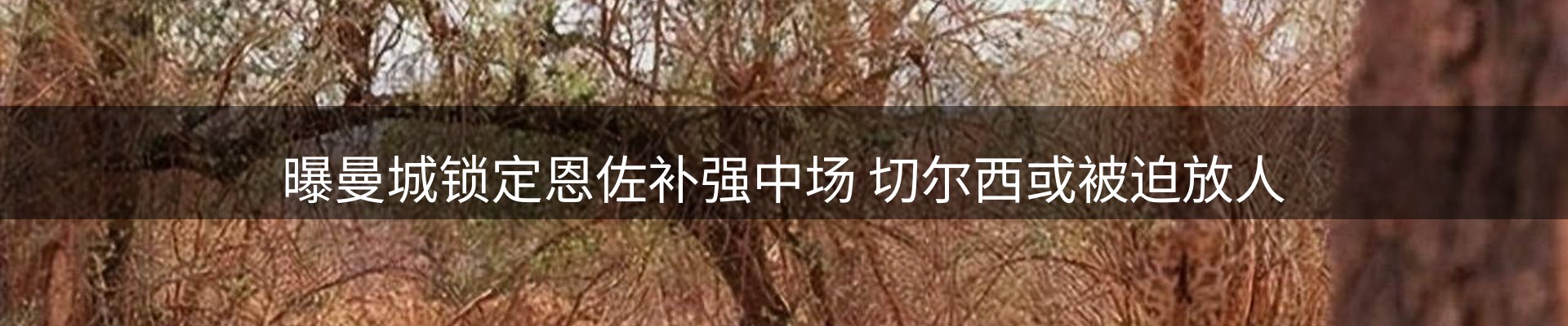 平台资讯